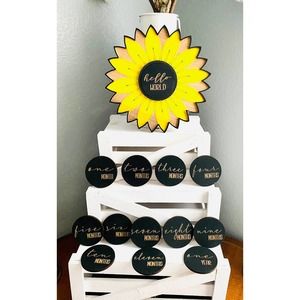 14 Piece Sunflower Themed Interchangeable Milestone Rounds